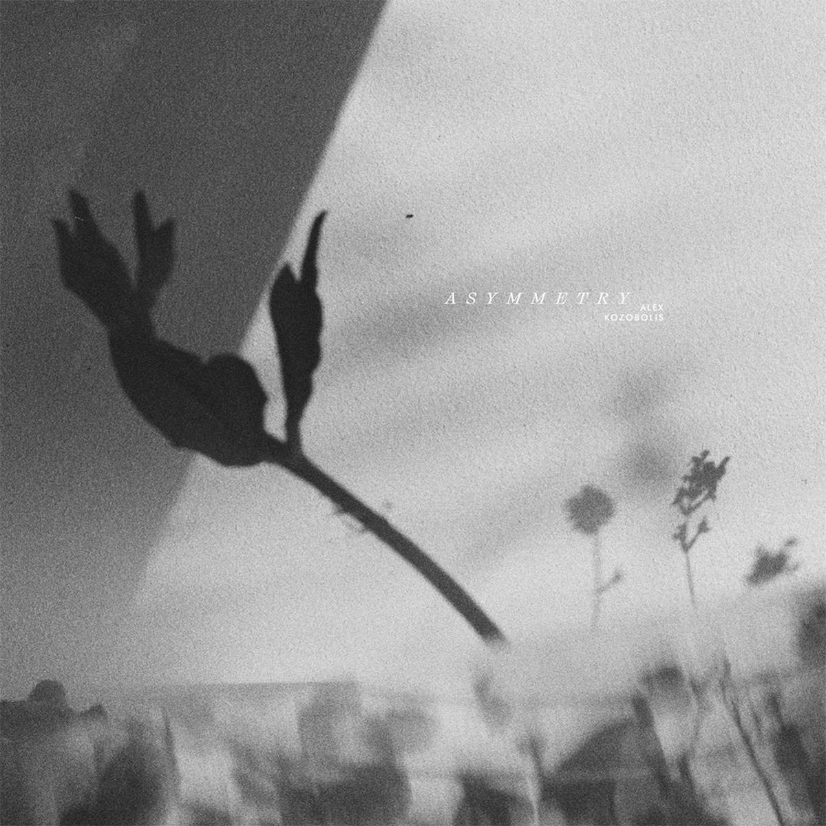 ALEX KOZOBOLIS – Asymmetry – LP – Vinyl [OCT 24]