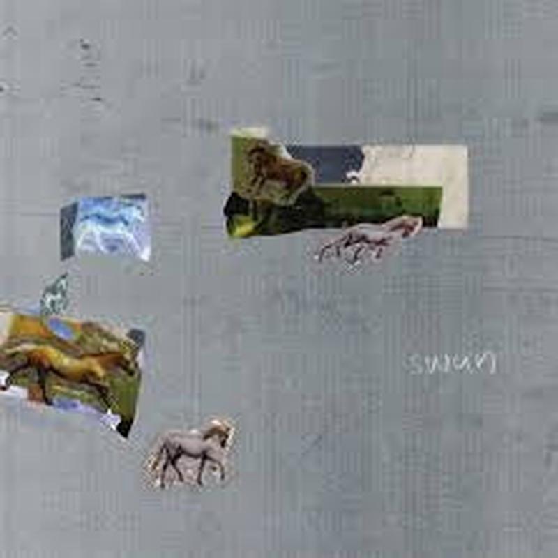 FAZED ON A PONY-SWAN CLEAR VINYL *NEW*