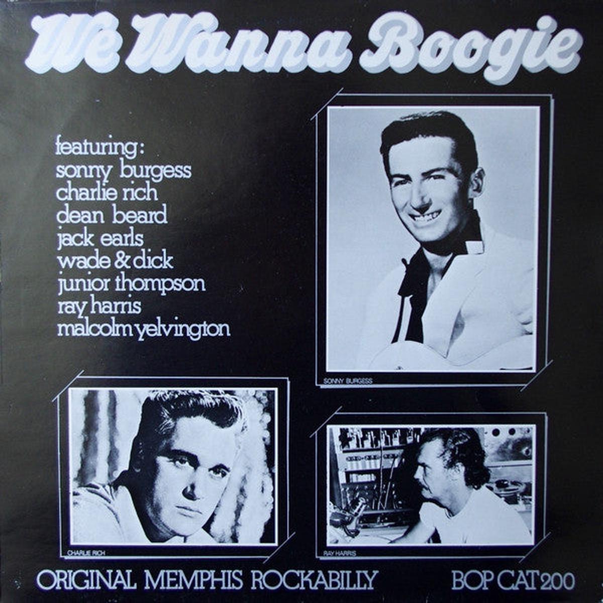 Various – We Wanna Boogie – LP