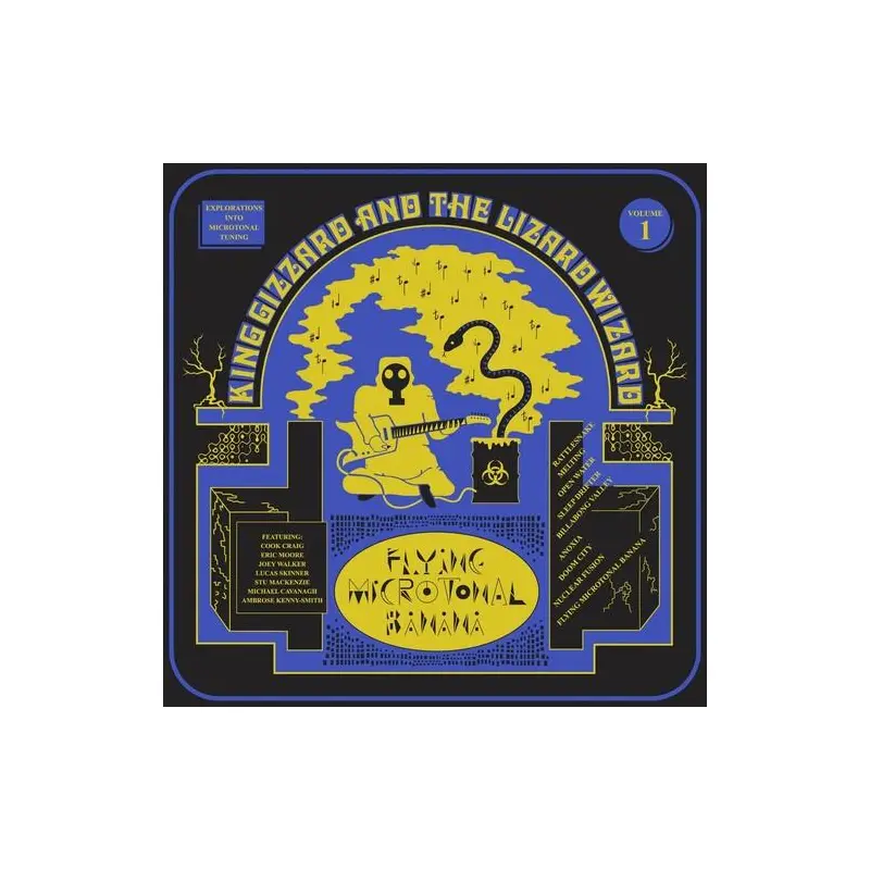 Flying Microtonal Banana – Eco-Vinyl – Vinyl LP
