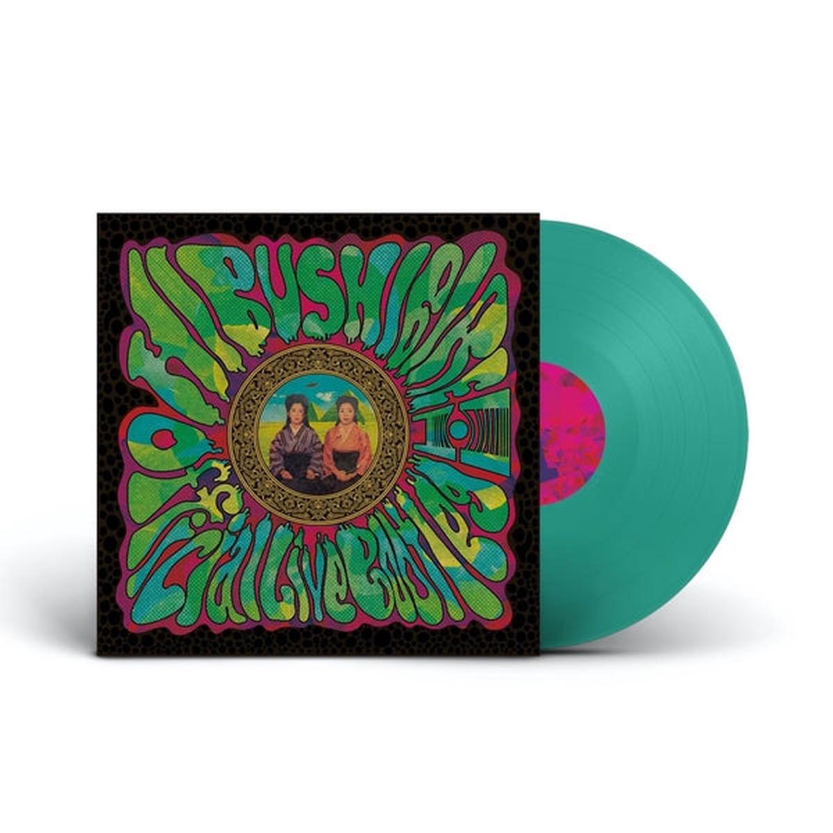 HIBUSHIBIRE Official Live Bootleg 11 [Lp] – Default Title
