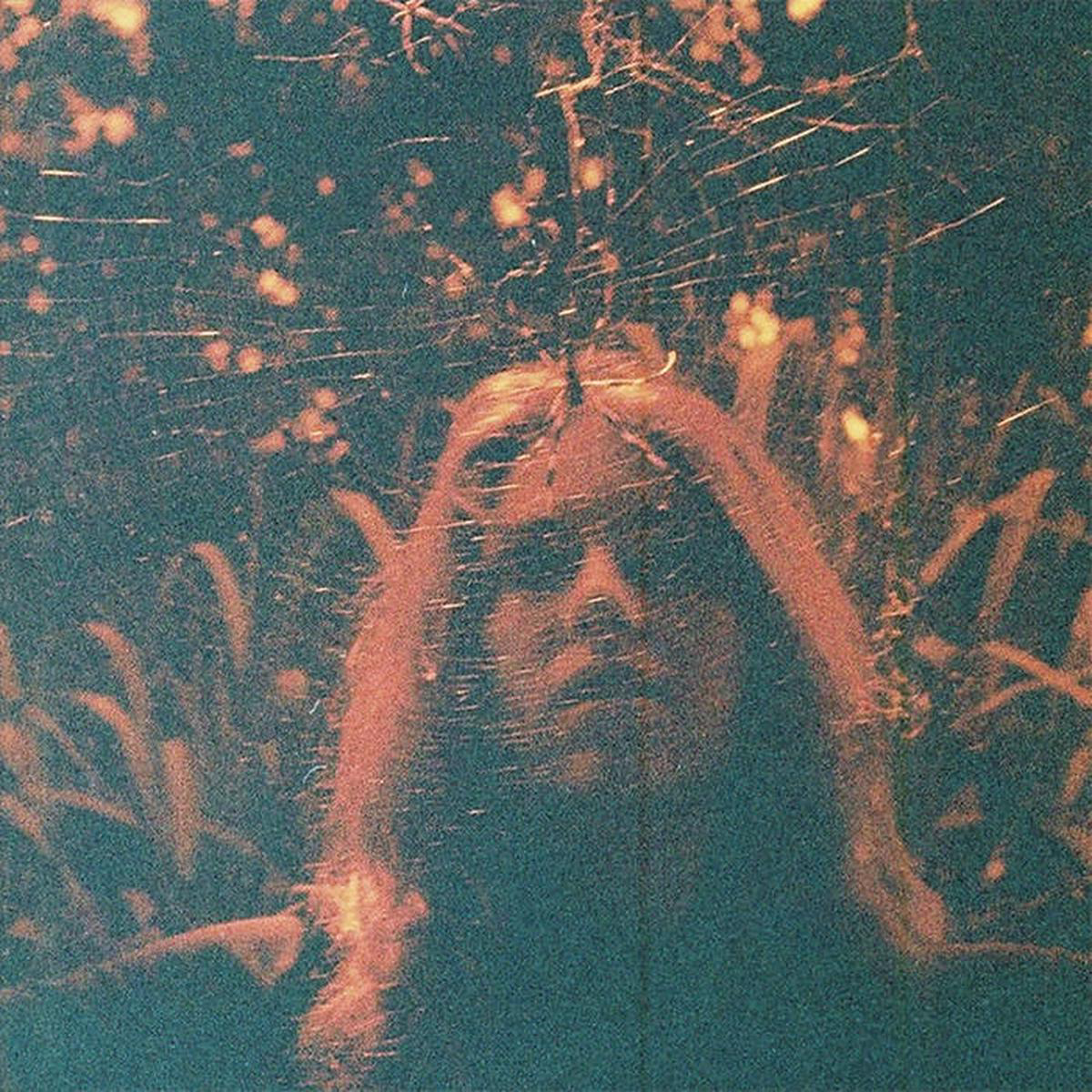 Turnover 8211 Peripheral Vision LP