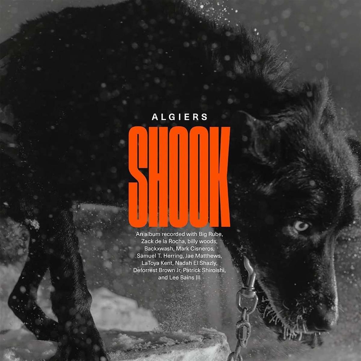 Algiers Shook Vinyl LP 2023 – Default Title
