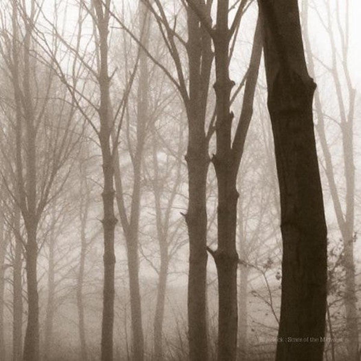 BLUENECK SCARS OF THE MIDWEST LP VINYL NEW (US) 33RPM – Default Title