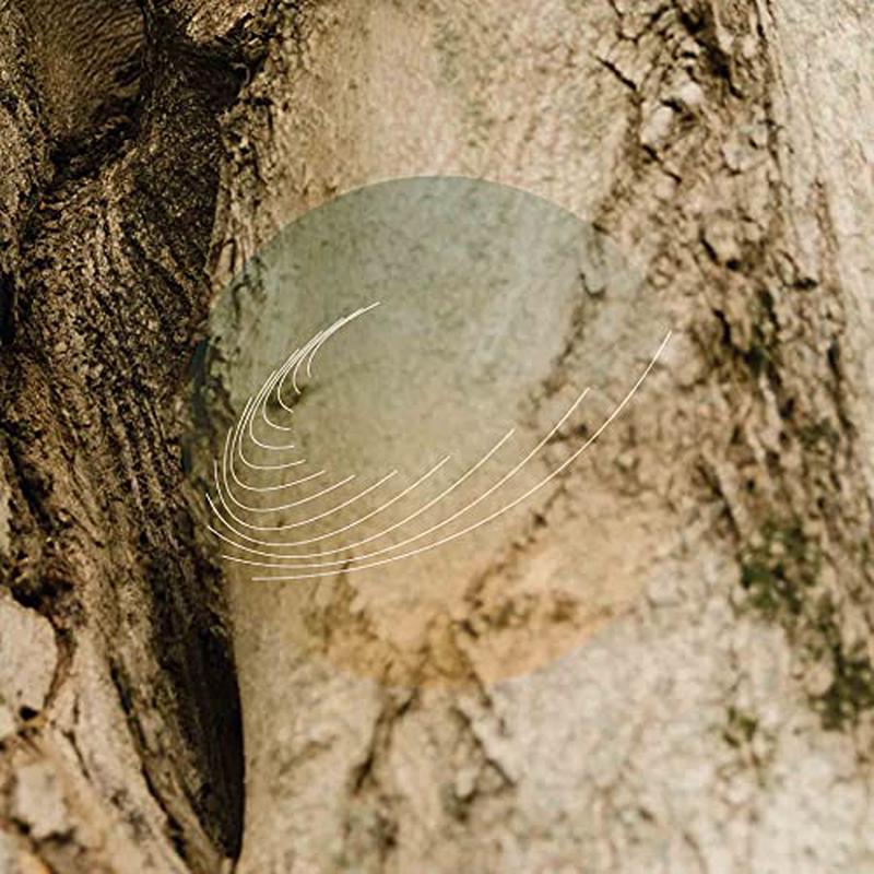 Field Works – Maples, Ash, and Oaks: Cedars Instrumentals [VINYL]