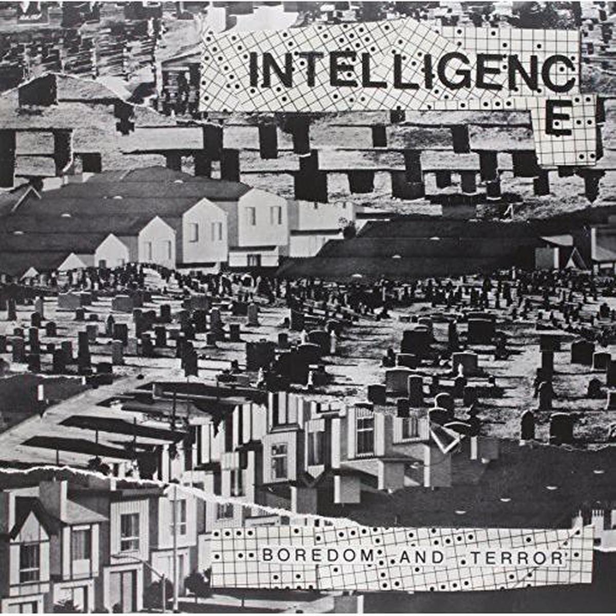 Boredom Terror Lets Toil – Vinyl LP