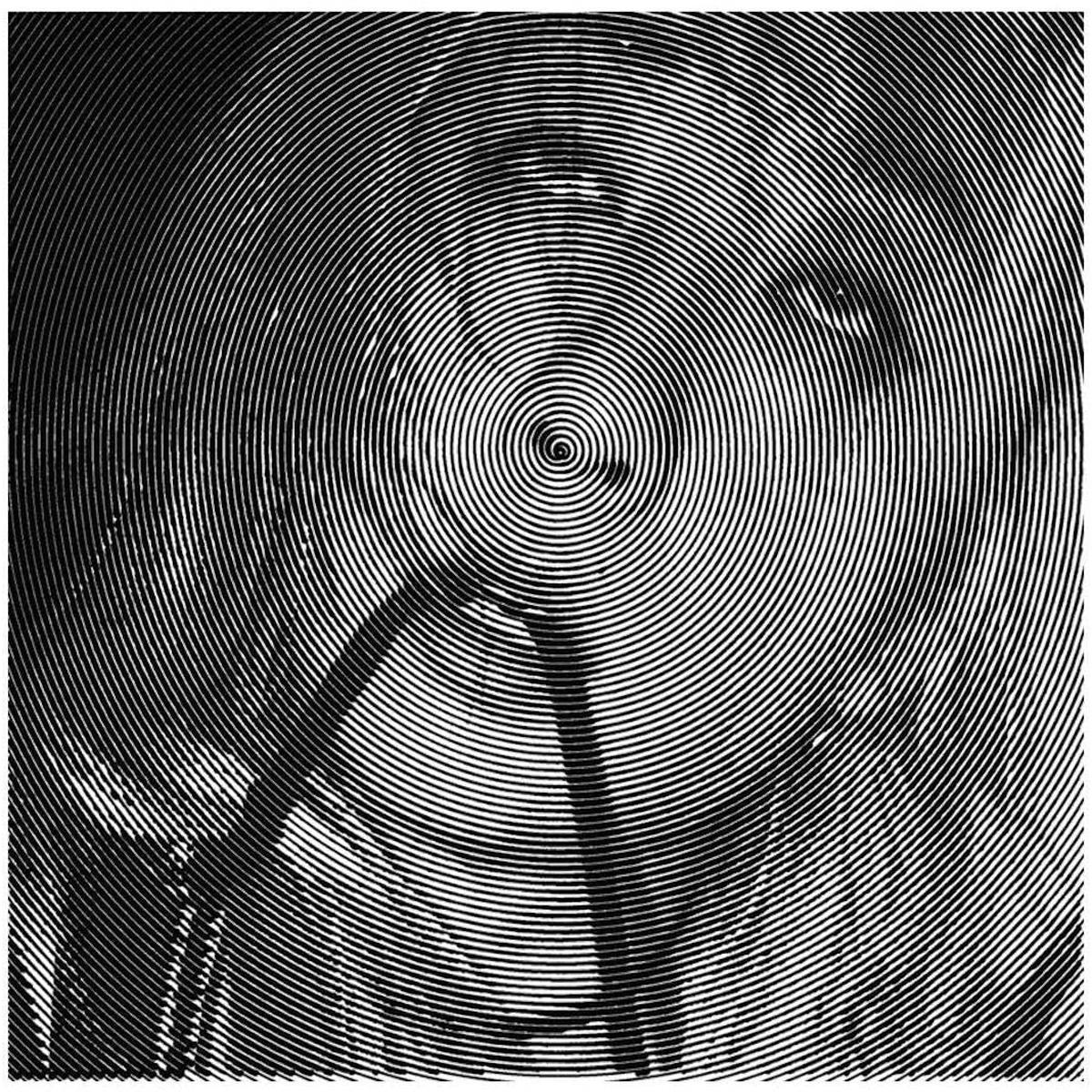 Evicshen Hair Birth Vinyl LP 2021 – Default Title