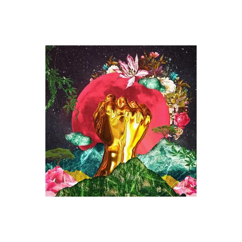 In A Galaxy – Vinyl LP