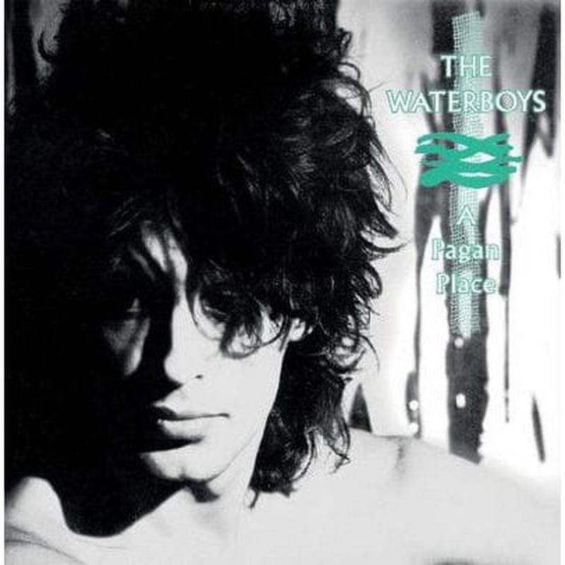 A Pagan Place – The Waterboys [VINYL]