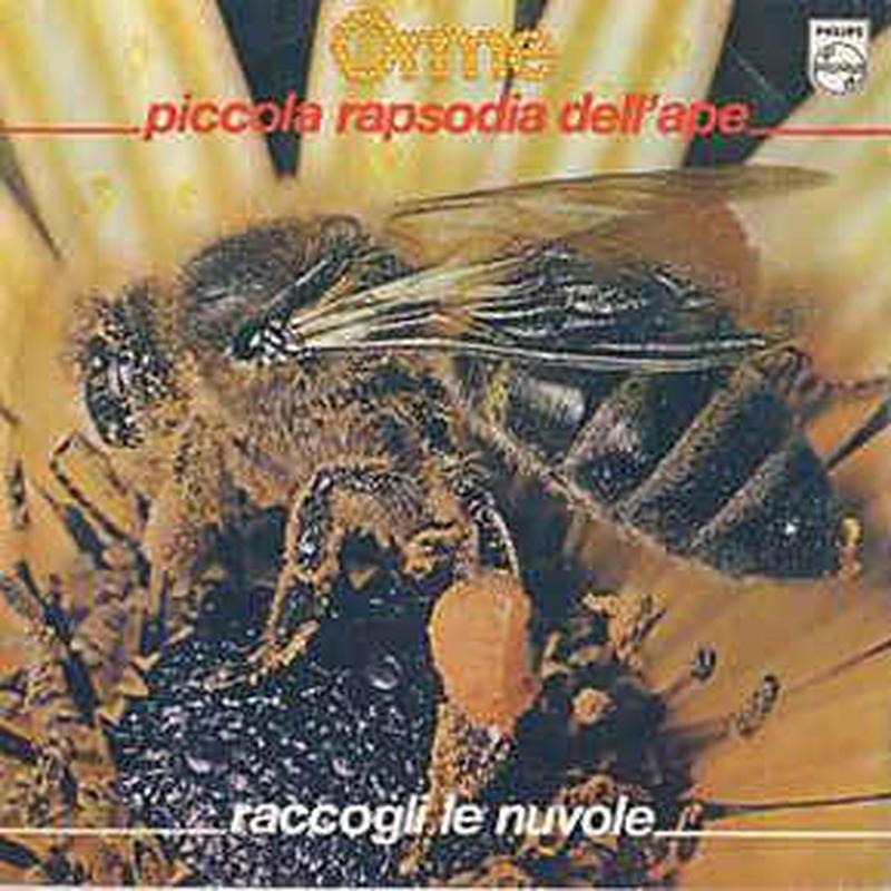 Piccola Rapsodia Dell’ape / Raccogli Le Nuvole