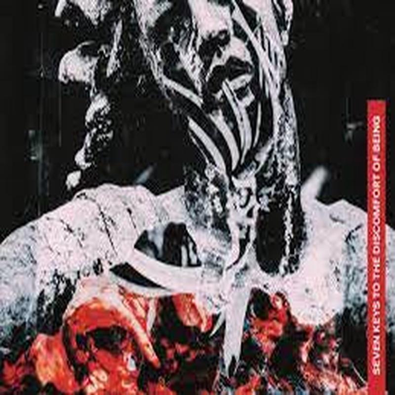 PREDATORY VOID-SEVEN KEYS TO THE DISCOMFORT OF BEING LP *NEW*