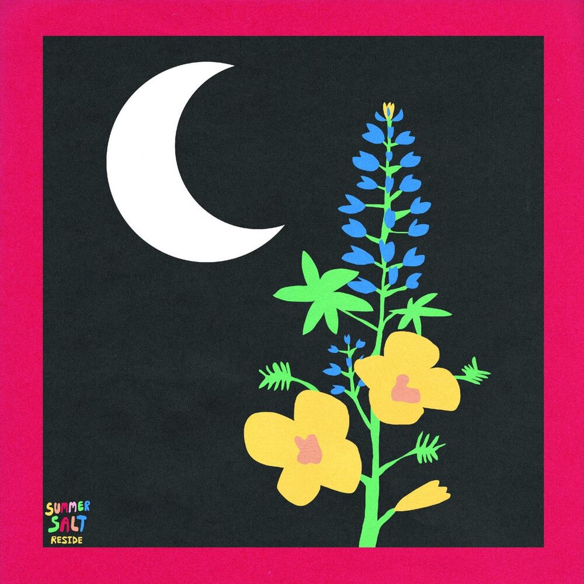 Summer Salt – Reside [LP]