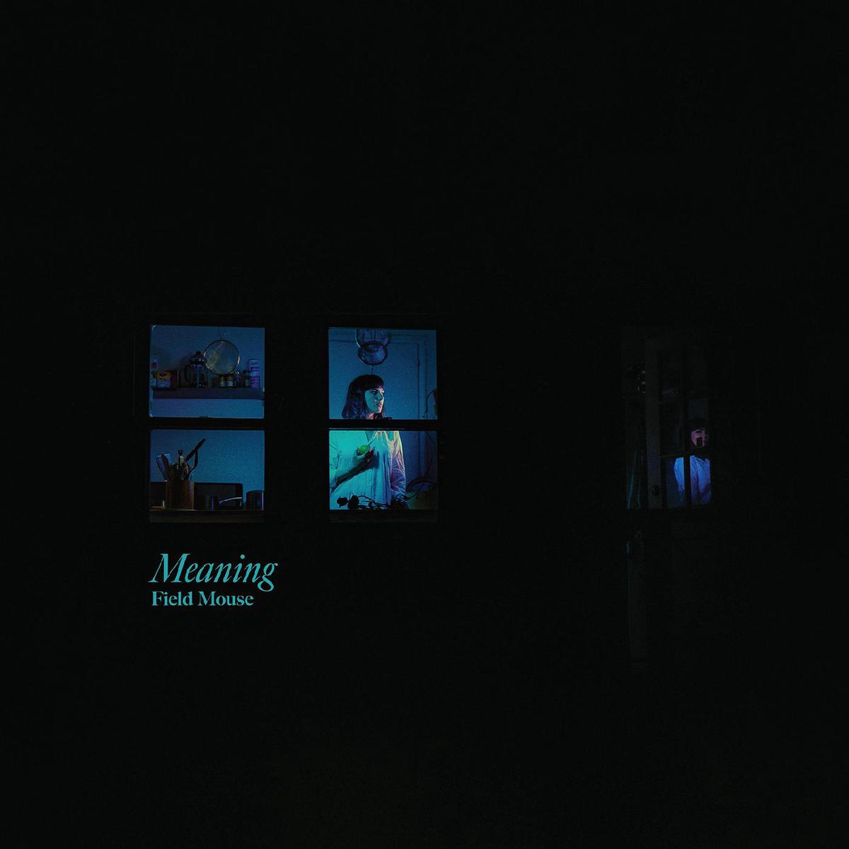Field Mouse – Meaning ((Vinyl)) – Default Title