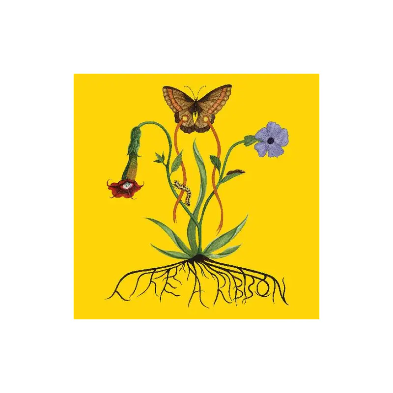 Like A Ribbon – Vinyl LP