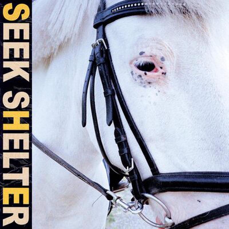 Seek Shelter – Iceage [VINYL Limited Edition]