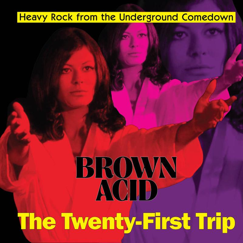 Various – Brown Acid: The Twenty-First Trip [Vinyl]