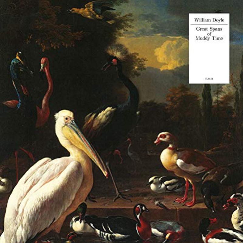 William Doyle - Great Spans of Muddy Time [VINYL]