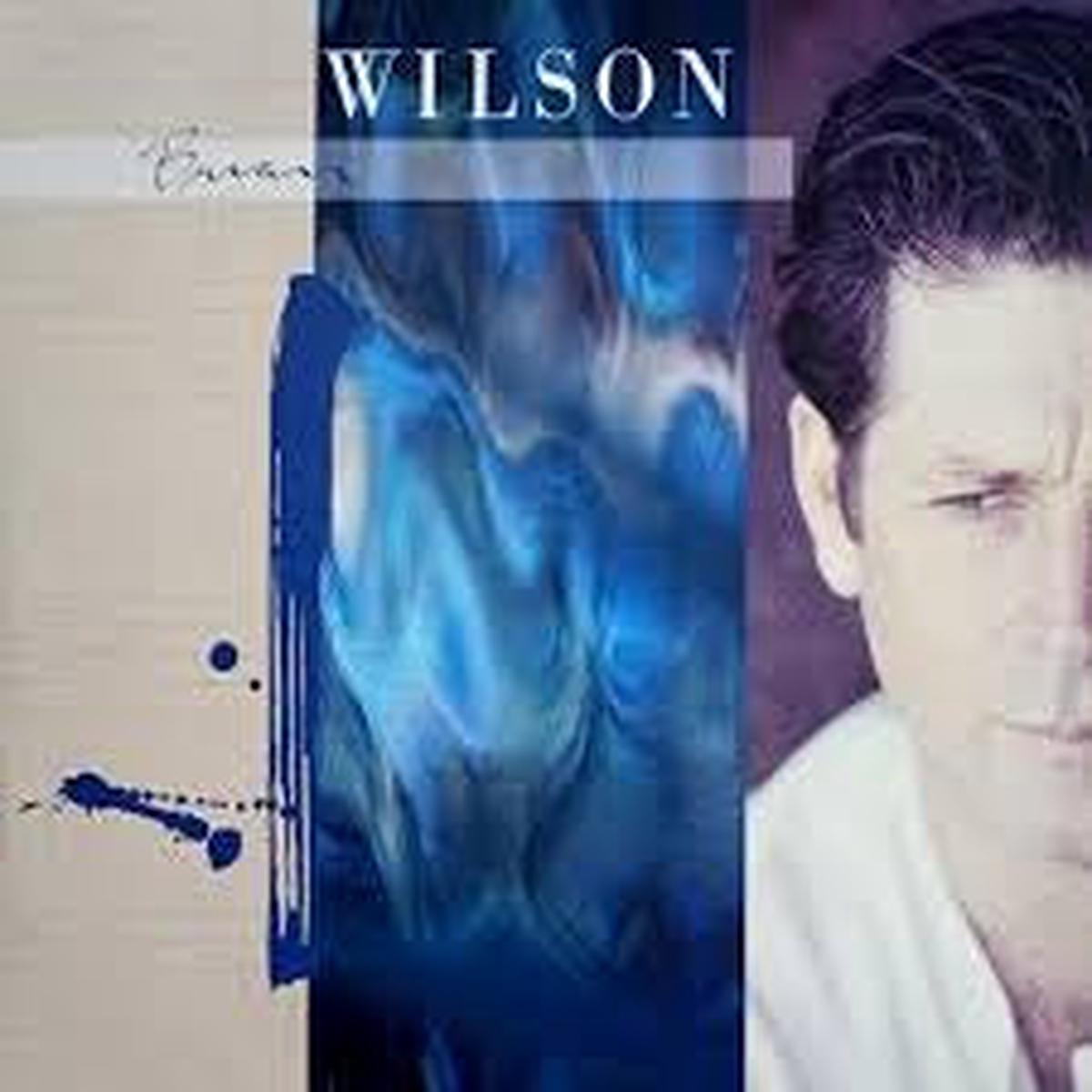 WILSON BRIAN-BRIAN WILSON BLUE SWIRL VINYL 2LP NM COVER VG+