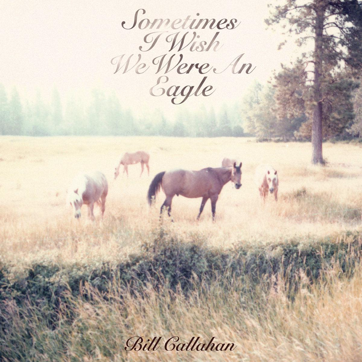 Bill Callahan 8211 Sometimes I Wish We Were An Eagle (New Vinyl)