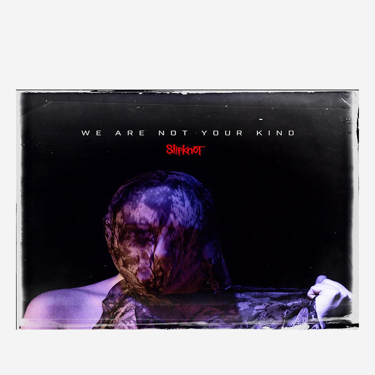 We Are Not Your Kind 2LP