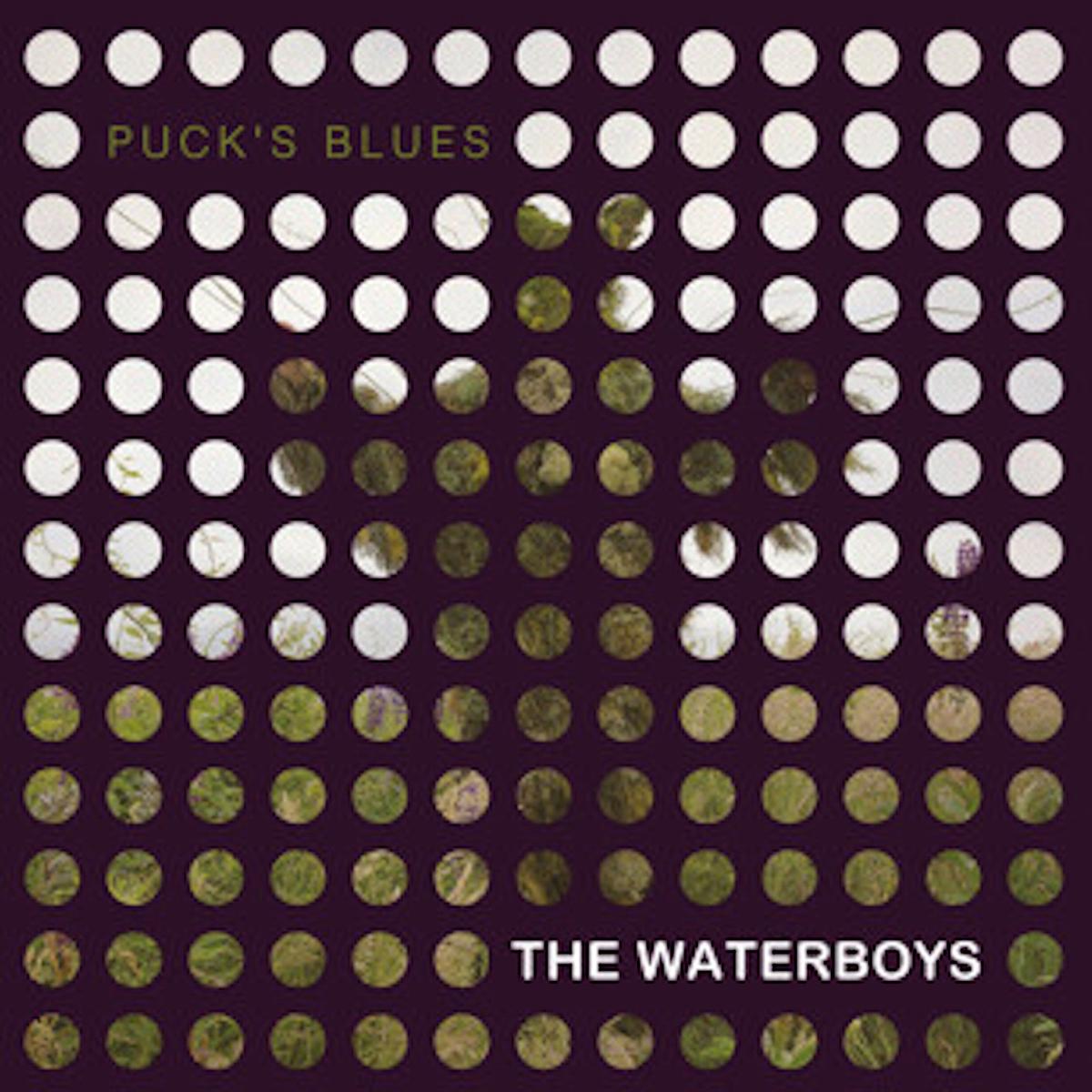 Waterboys - Puck s Blues