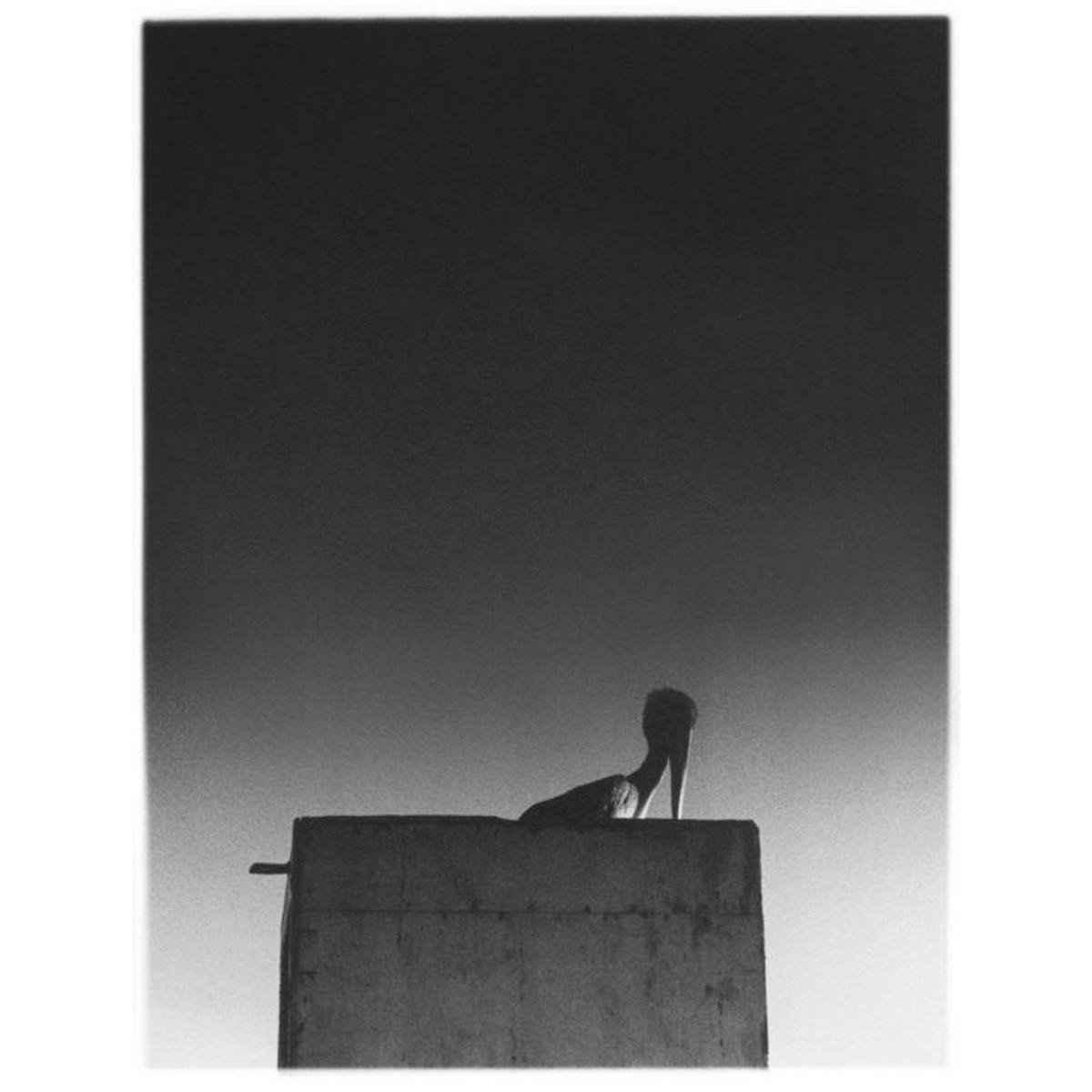 (Mika Vainio) - Sysivalo (w/ CD) (New Vinyl)