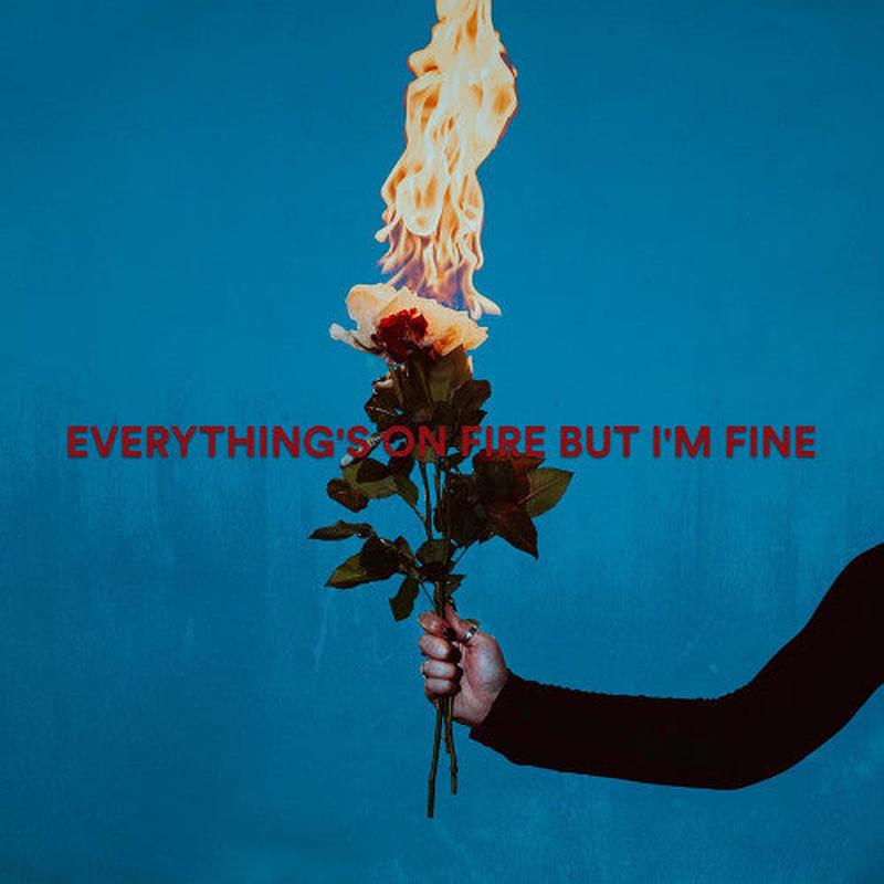 As December Falls - Everything's On Fire But I'm Fine (New Vinyl)