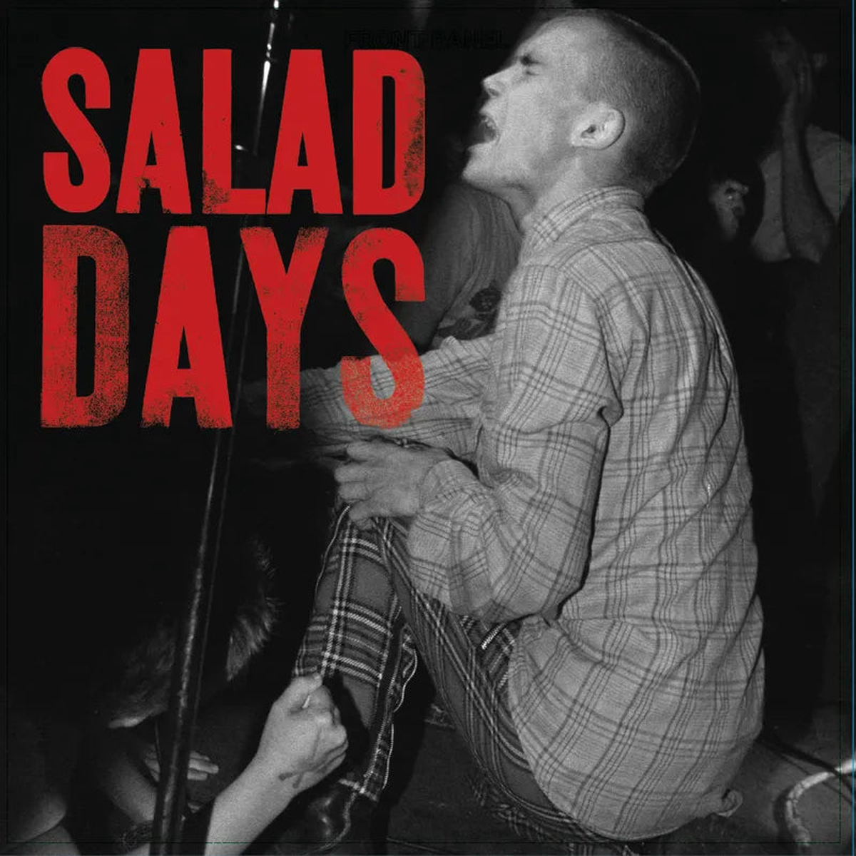 Various Artists - Salad Days: Music From The Documentary Film (RSD 2026) (New Vinyl)