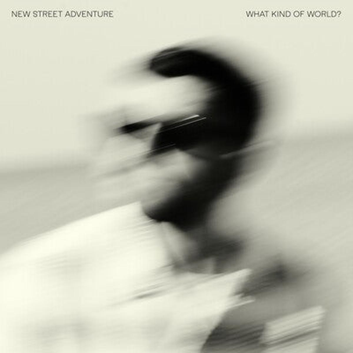 What Kind of World? - New Street Adventure [CD]