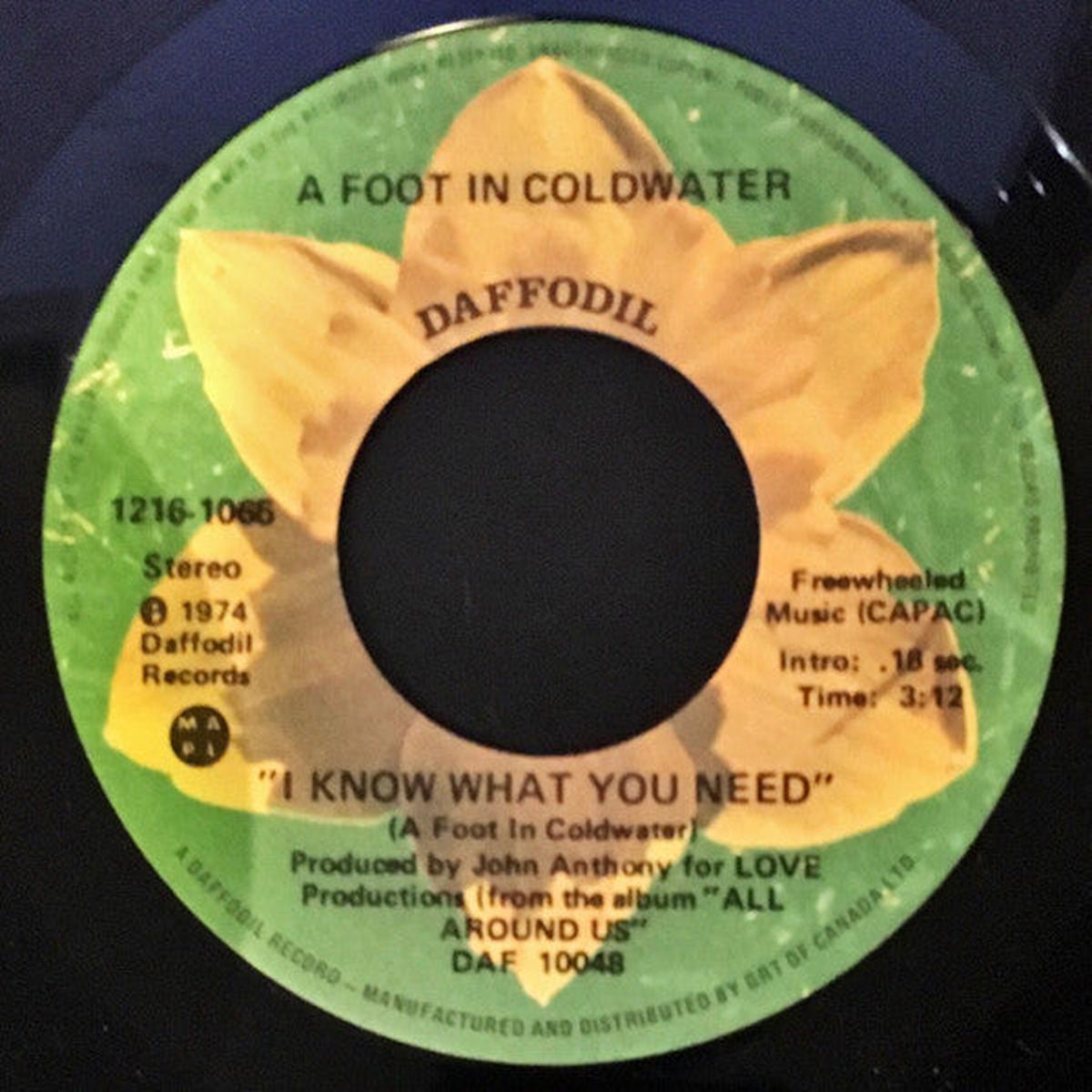 A Foot In Coldwater - I Know What You Need (7") (Very Good (VG))