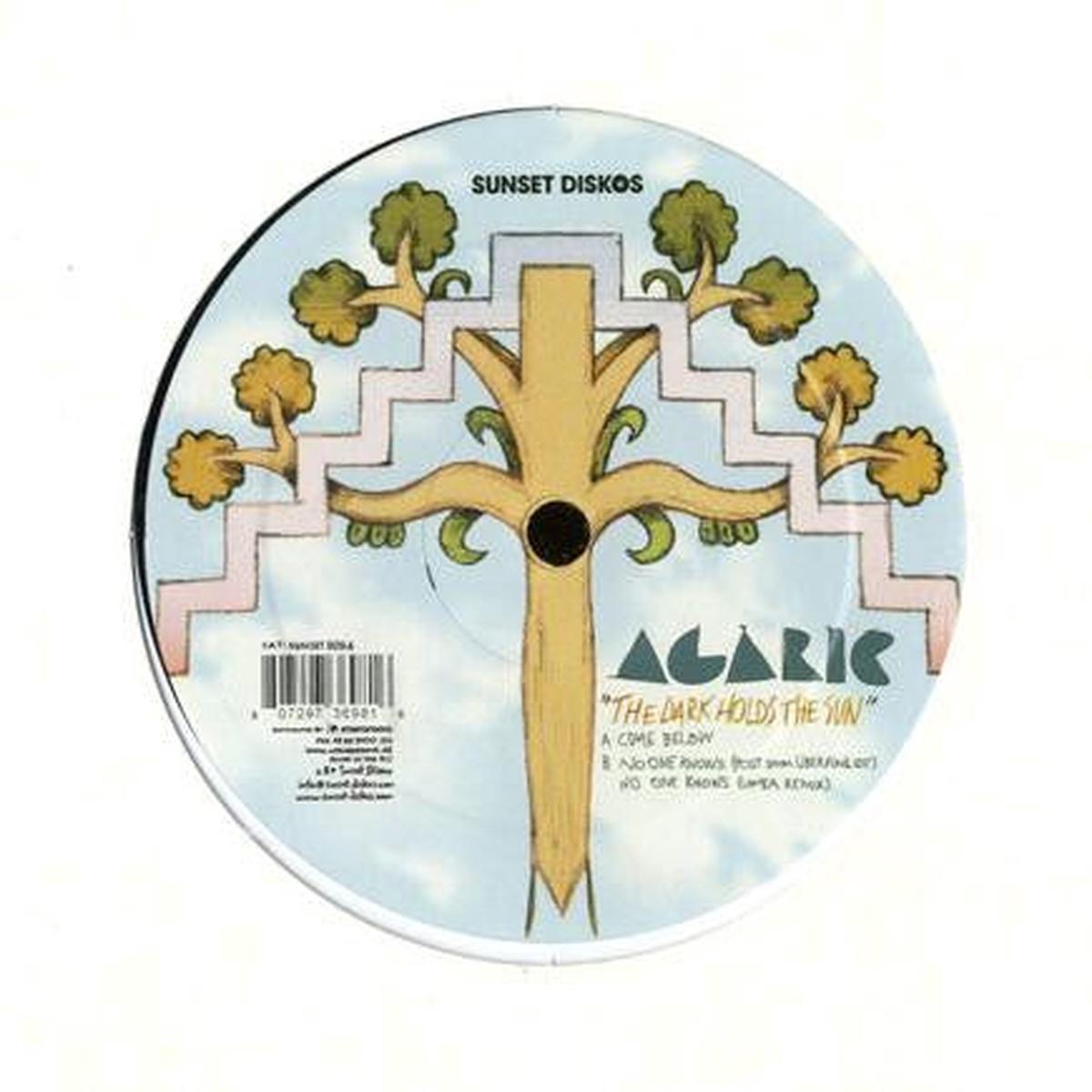 Agaric - The Dark Holds The Sun (SFT1) VG+