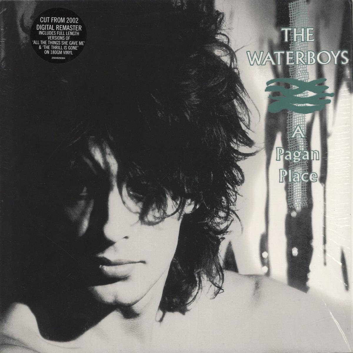The Waterboys A Pagan Place - Opened shrink  Vinyl LP