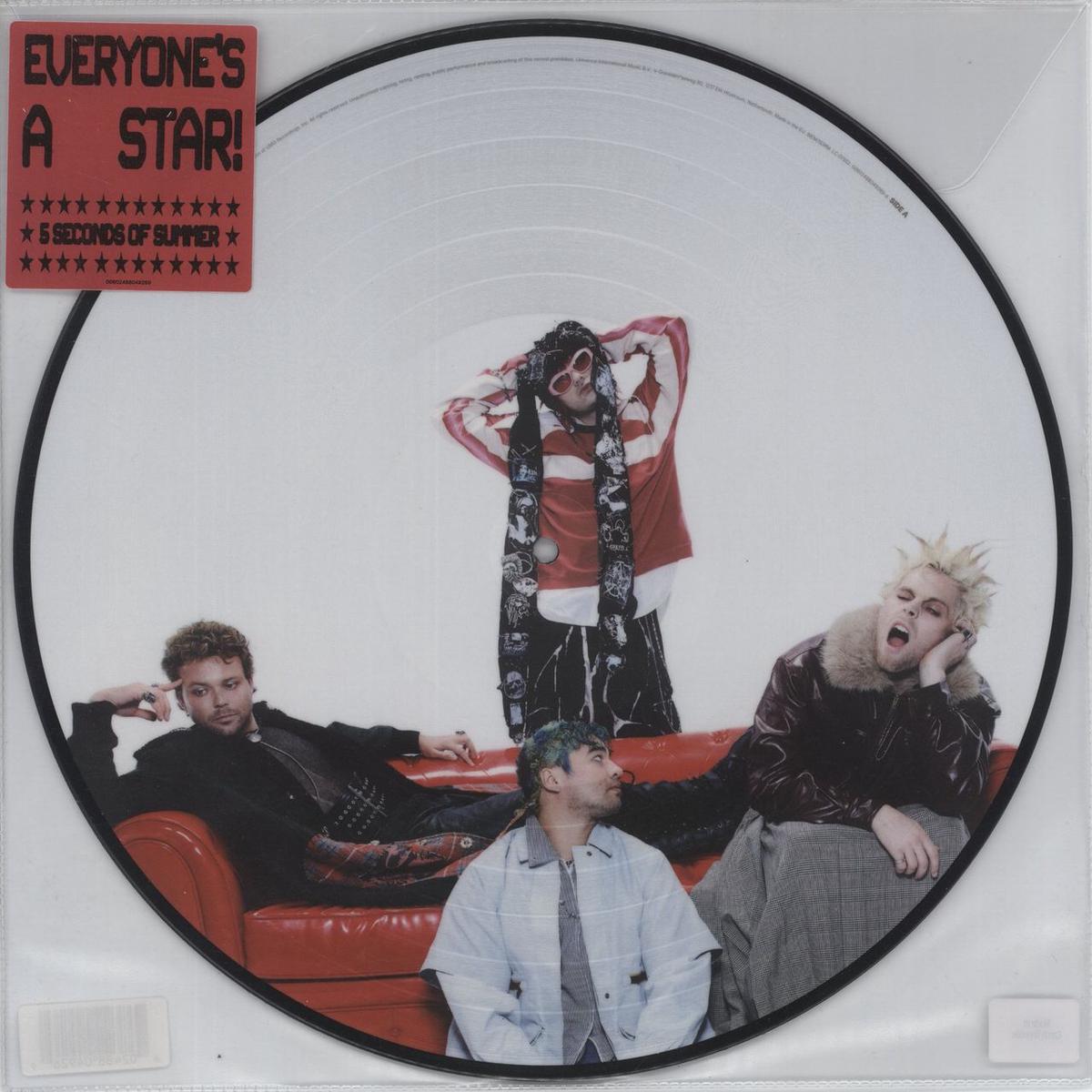 5 Seconds Of Summer Everyones A Star!  Picture disc LP
