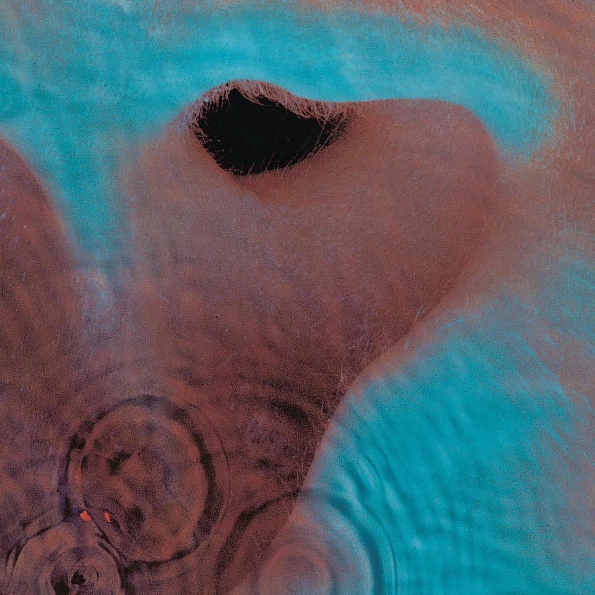 Pink Floyd Meddle - Sealed  CD album