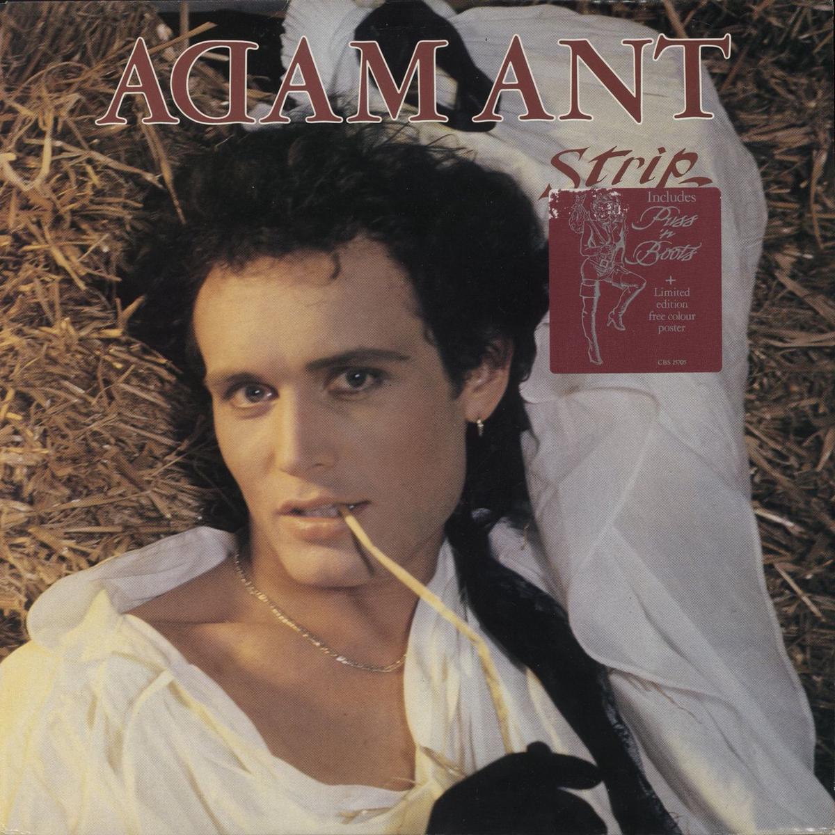 Adam Ant Strip + Poster  Vinyl LP